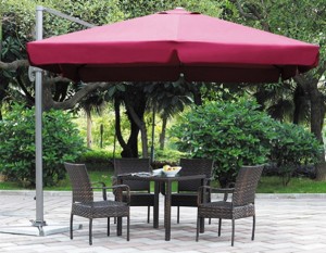 zont-gardenway-a002-3030-bordovii
